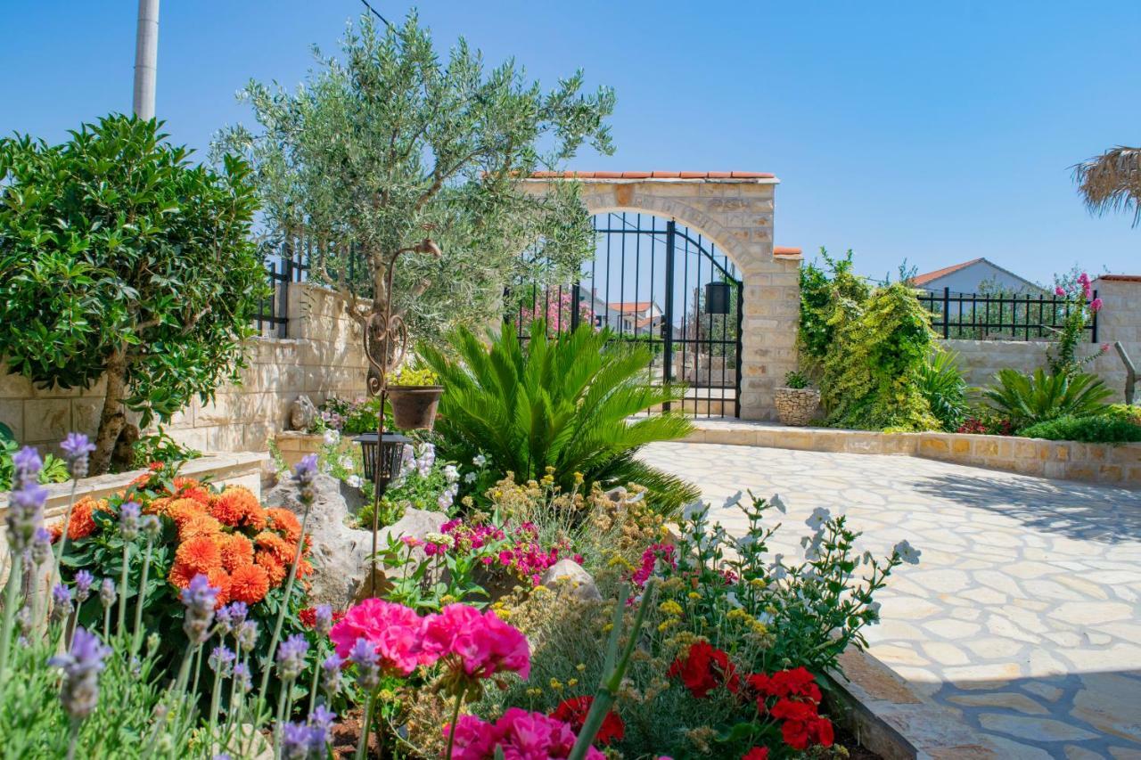 Apartments Solta Gornje Selo Dış mekan fotoğraf